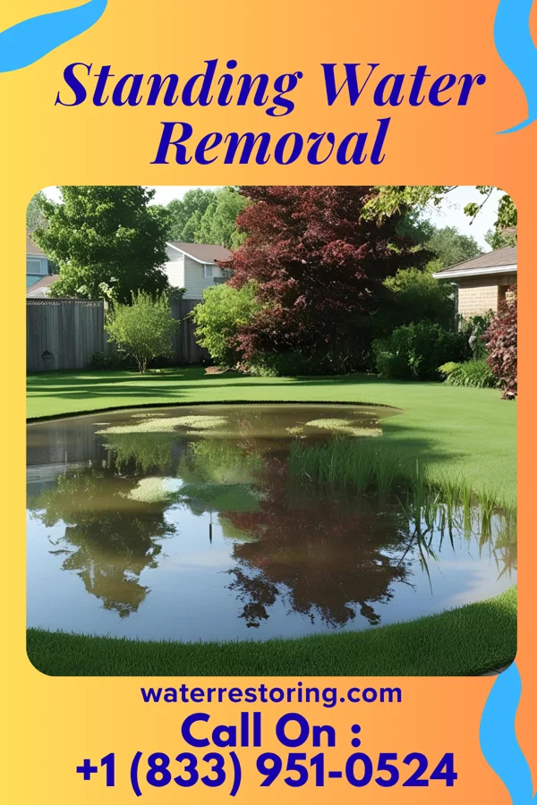 Standing Water Removal in Grapevine, TX